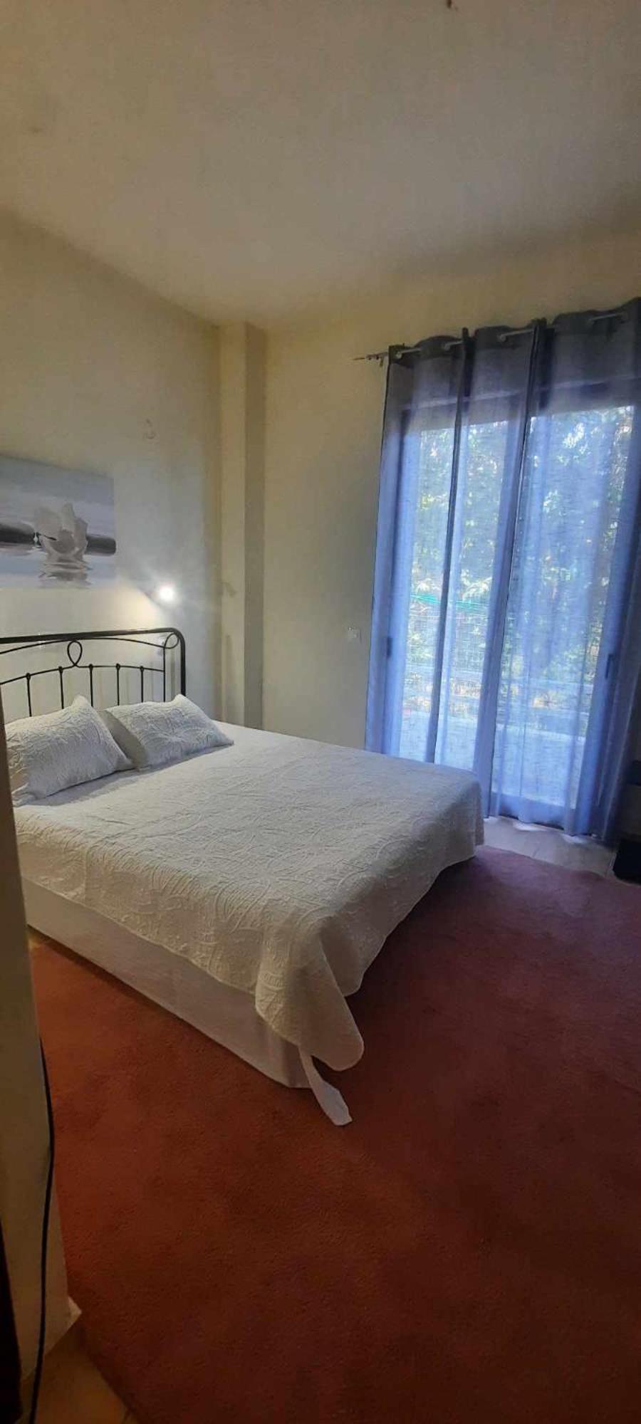Bianca Gazde/Camere de închiriat