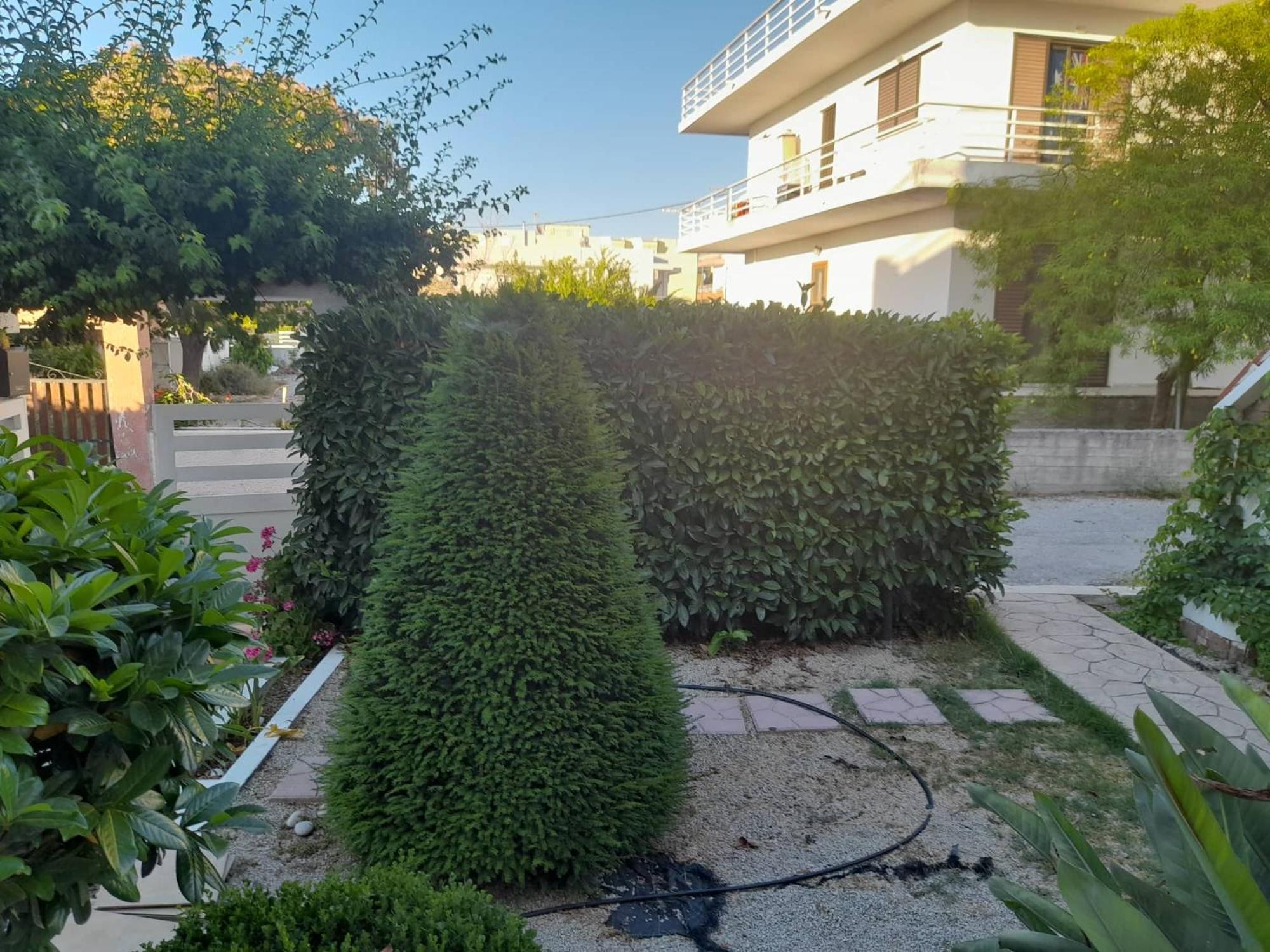 Gazde/Camere de închiriat Bianca