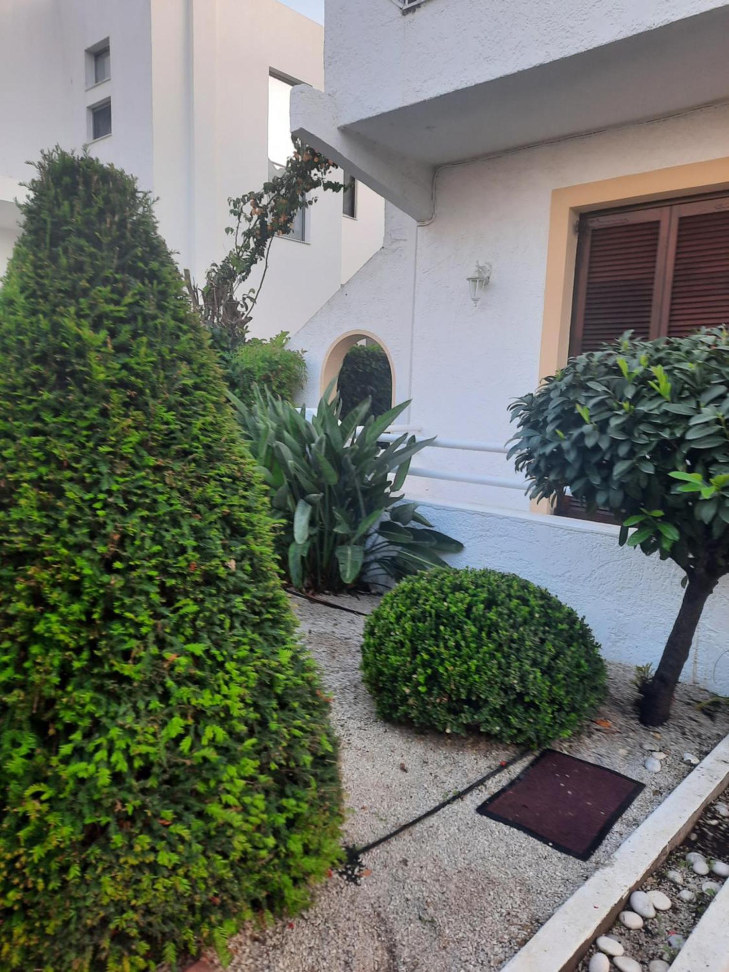 Bianca Gazde/Camere de închiriat